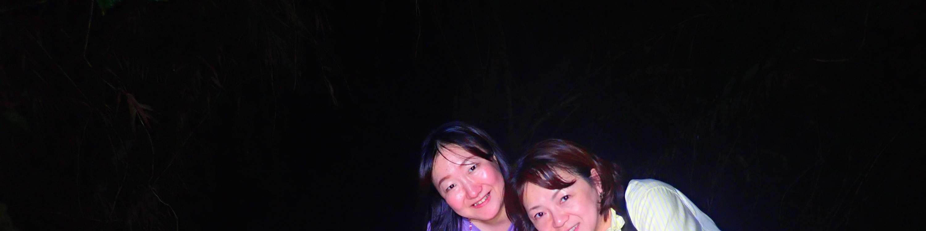 [Miyako Island/Night] Stargazing & Jungle Night Tour